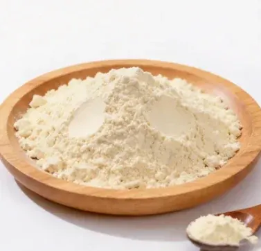 The probiotic powder blend inside the SlimTide capsule